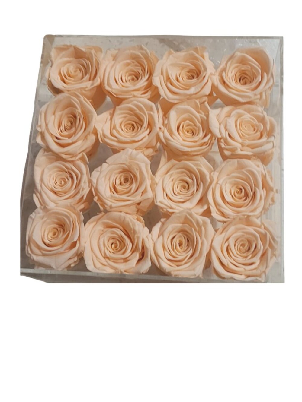 Preserved Roses in Acrylic Display Box -  New